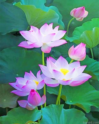 Lotu Flowers Painting By Numberss.png
