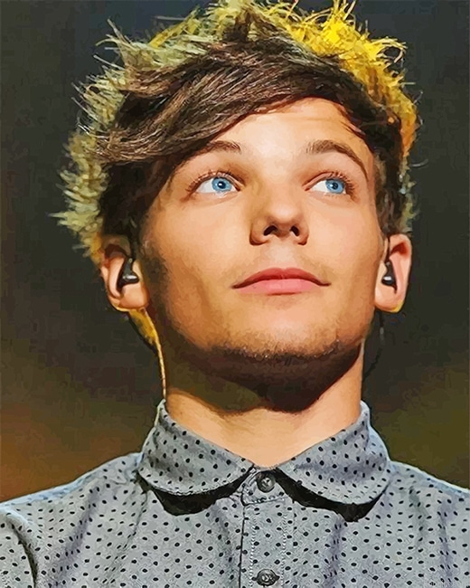 Louis Tomlinson New Painting By Numberss.png