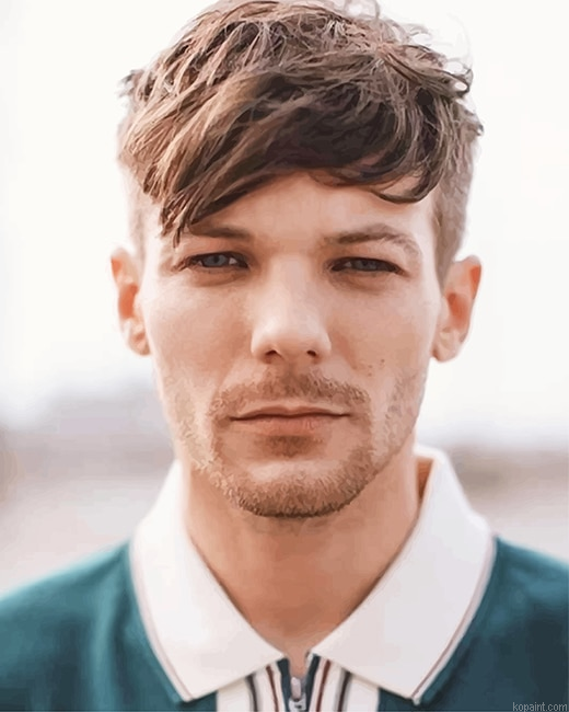 Louis Tomlinson New Haircut New Painting By Numberss.png