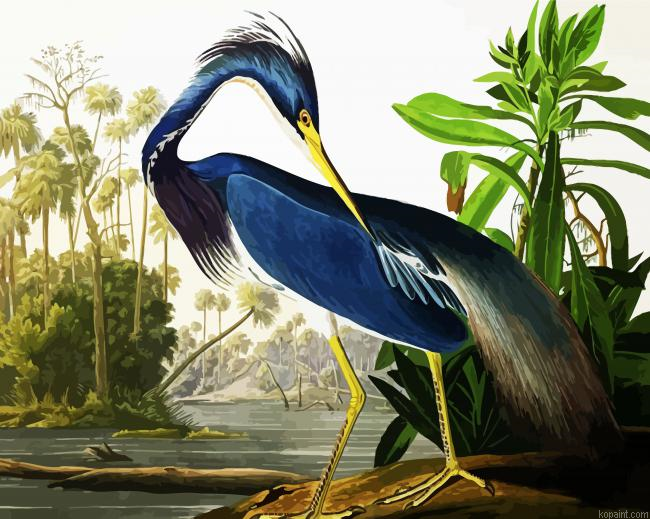 Louisiana Heron By John James Audubon Painting By Numberss.png
