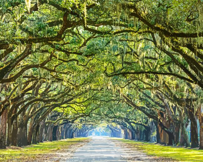 Lowcountry Trees Painting By Numberss.png