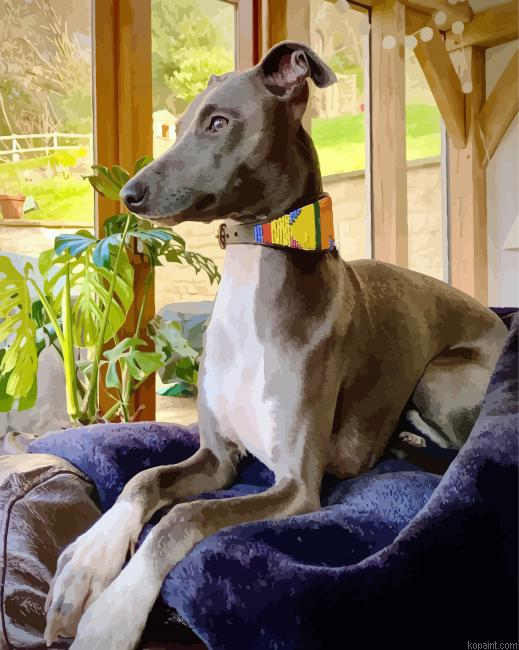 Lurcher Dog On Sofa Painting By Numberss.png