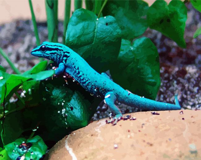 Lygodactylus Williamsi Gecko Lizard Painting By Numberss.png