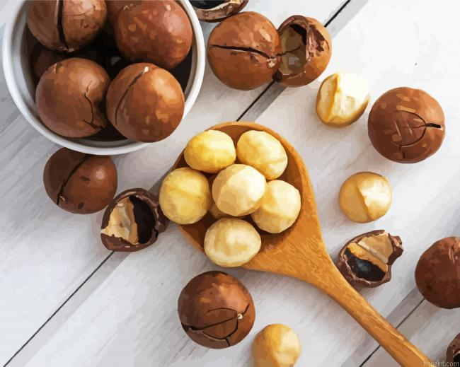 Macadamia Bowl Nuts Painting By Numberss.png