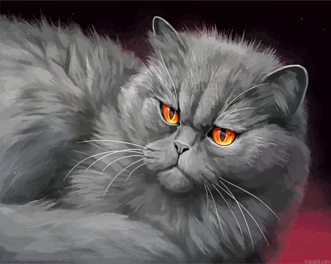 Mad Black Cat Painting By Numberss.png