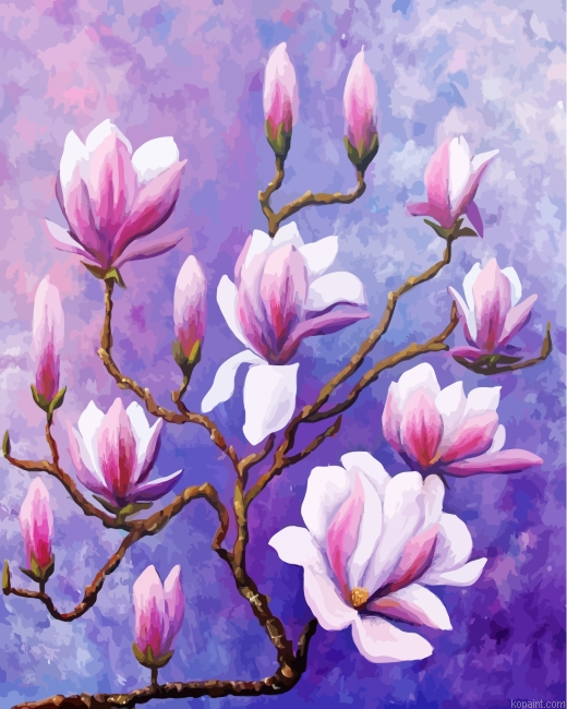 Magnolias Flowers Painting By Numberss.png