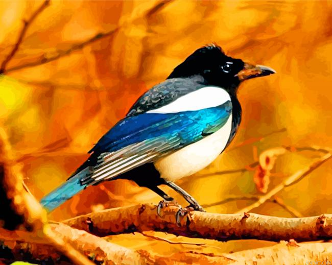 Magpie Bird Animal Painting By Numberss.png