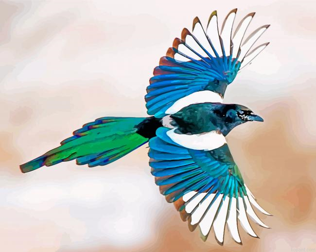 Magpie Bird Flying Painting By Numberss.png