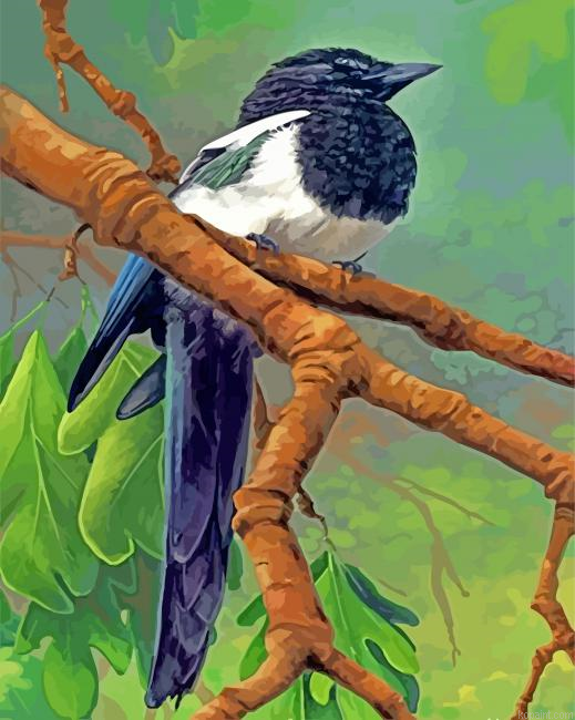 Magpie Bird On Stick Painting By Numberss.png
