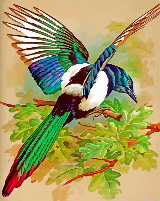 Magpie Bird Painting By Numberss.png