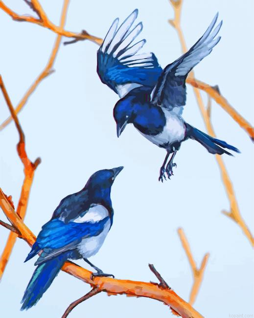 Magpie Birds Painting By Numberss.png