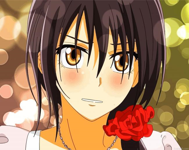Maid Sama Anime Character Paint By Numbers