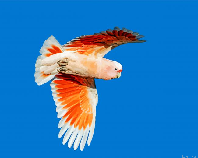 Major Mitchell Bird Flying Painting By Numberss.png