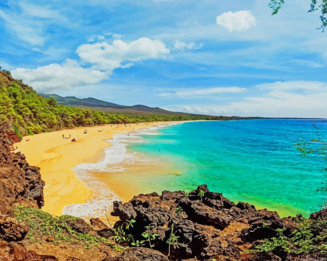 Makena State Park Hawaii New Painting By Numberss.png