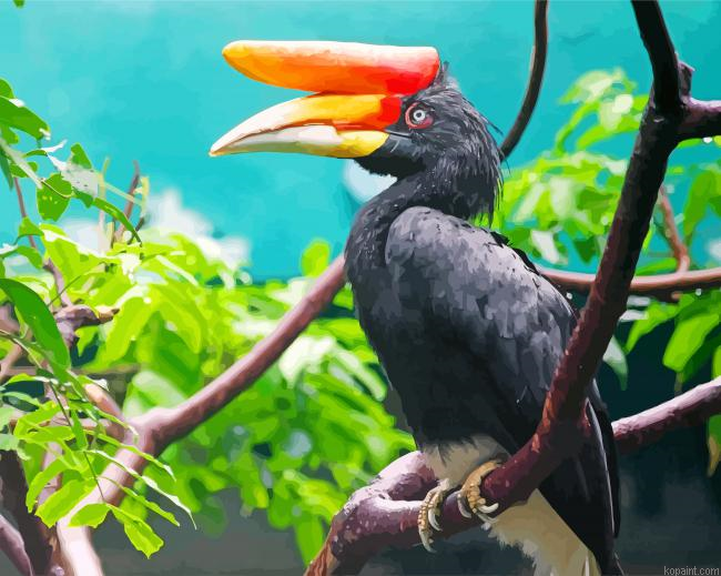 Malaysia Hornbill Bird Painting By Numberss.png