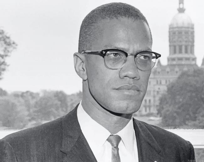 Malcolm X New Painting By Numberss.png
