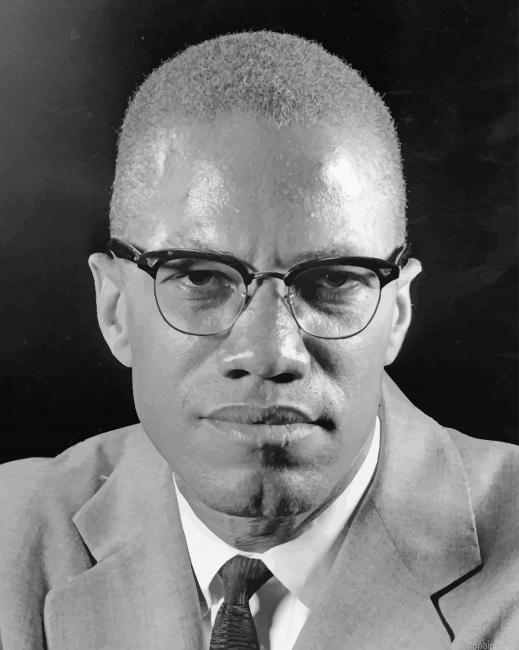 Malcolm X Portrait New Painting By Numberss.png