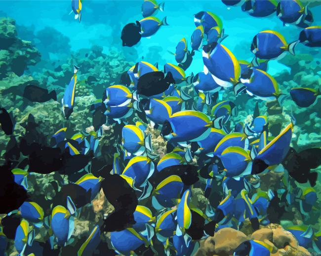 Maldives Fish School Painting By Numberss.png