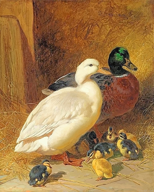 Mallard Ducks New Painting By Numberss.png