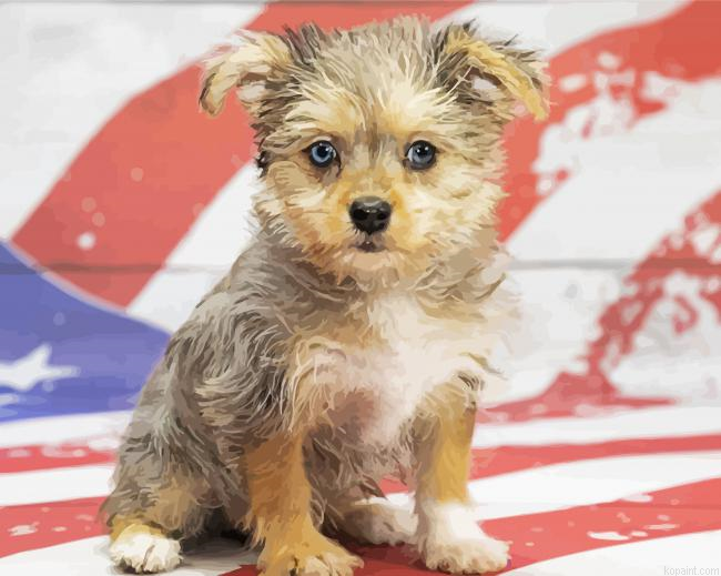 Maltipom Puppy Dog Paint By Numbers