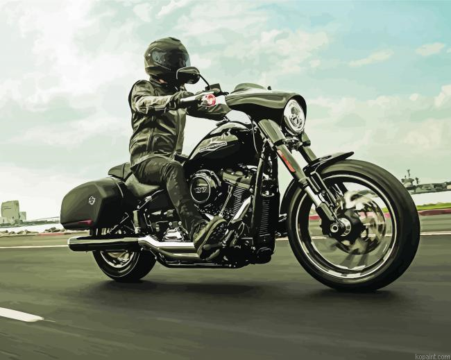 Man Riding Harley Motorcycle Painting By Numberss.png