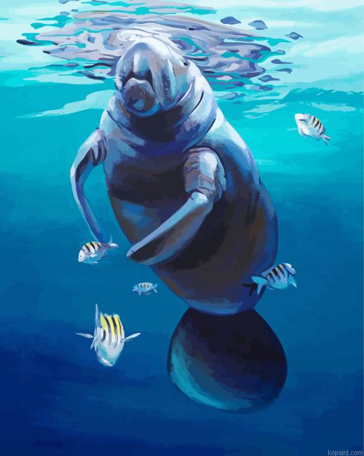 Manatee And Fish Painting By Numberss.png