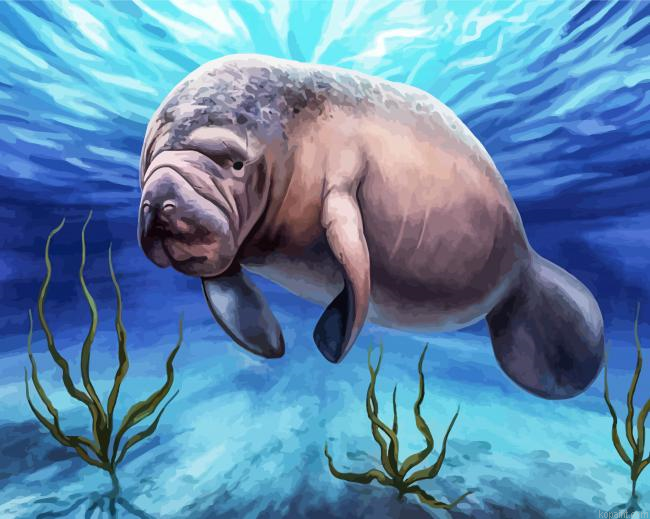 Manatee Animal Painting By Numberss.png