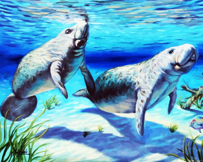 Manatees Underwater Painting By Numberss.png