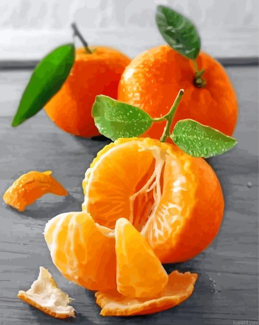 Mandarine Fruit Painting By Numberss.png
