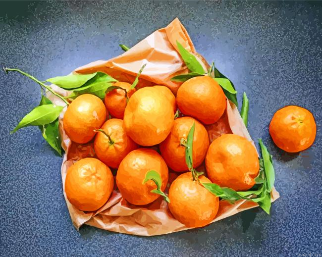 Mandarine Painting By Numberss.png