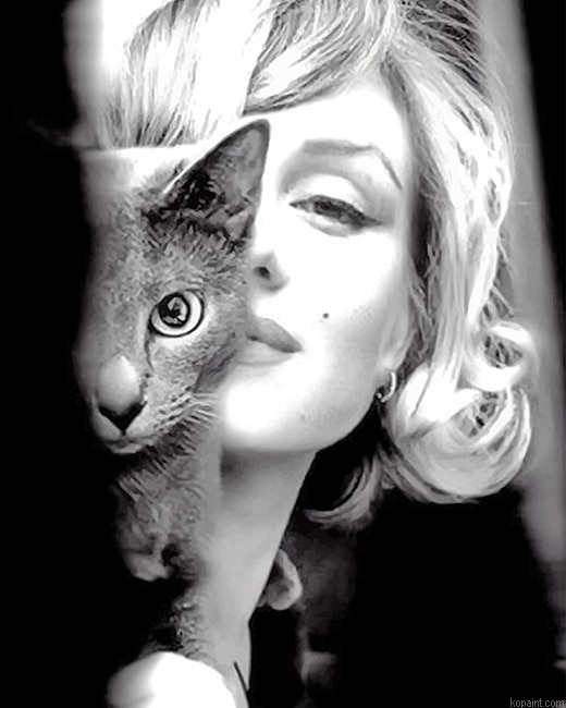 Marilyn Monroe With Her Cat -Paint By Numbers