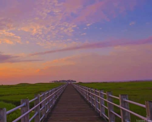 Marsh Boardwalk Painting By Numberss.png