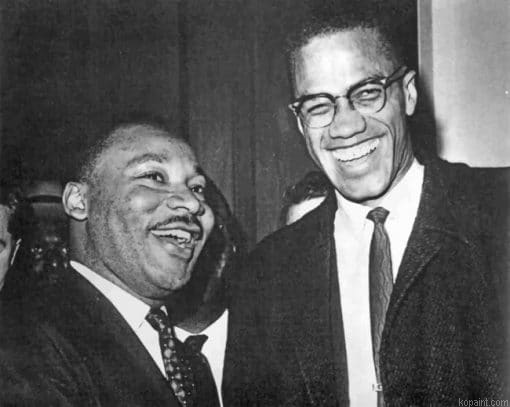 Martin Luther King And Malcolm X Painting By Numberss.png