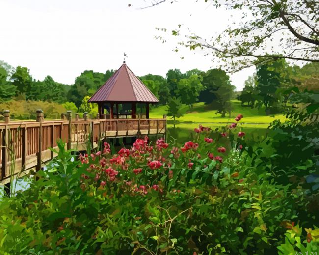 Meadowlark Botanical Gardens Paint By Numbers.png