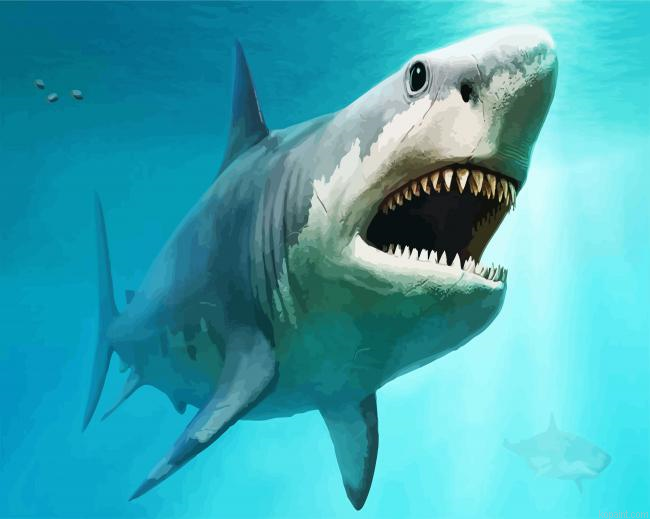 Megalodon Fish Underwater Painting By Numberss.png