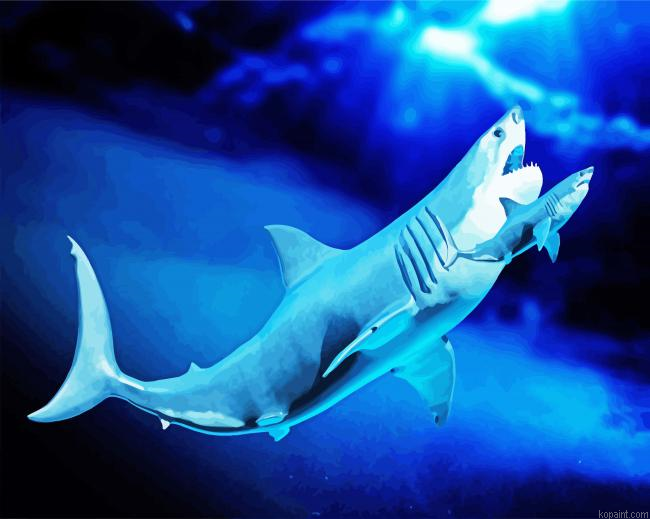 Megalodon Shark Fish Painting By Numberss.png