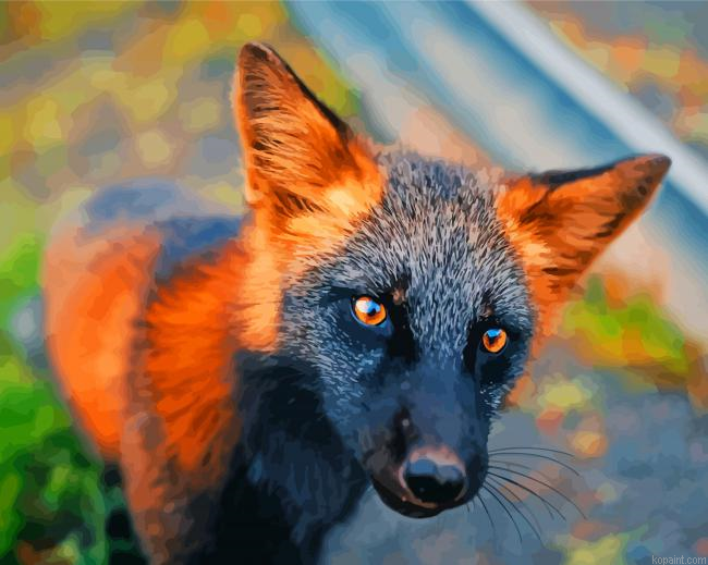 Melanistic Fox Painting By Numberss.png