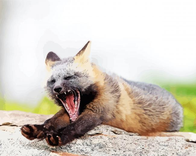 Melanistic Fox Yawning Painting By Numberss.png