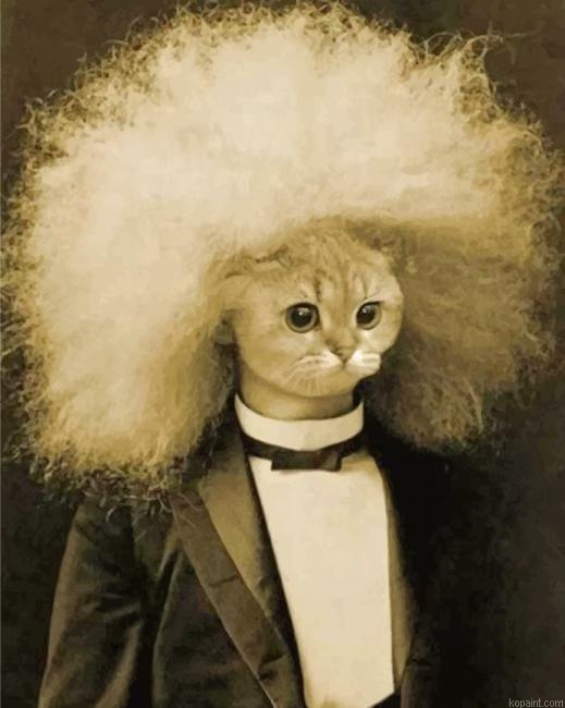 Meow Einstein New Painting By Numberss.png