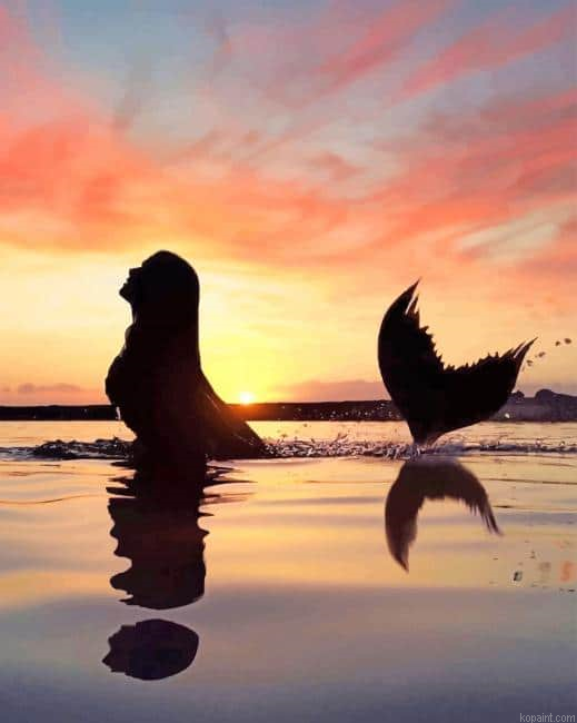 Mermaid Swimming Silhouette New Painting By Numberss.png