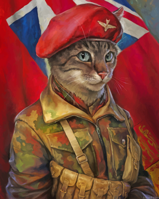 Military Cat Art Painting By Numberss.png