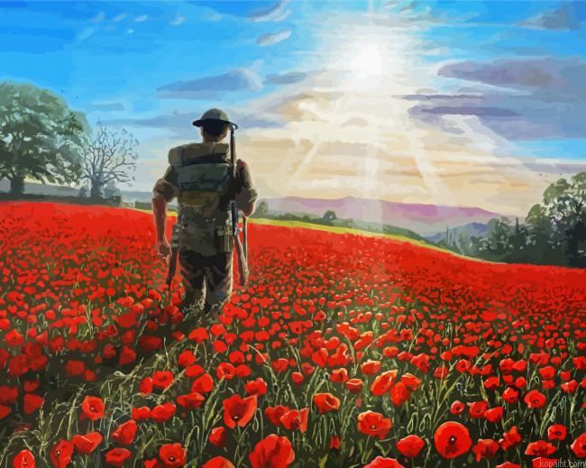 Military Soldier In Poppy Field Painting By Numberss.png
