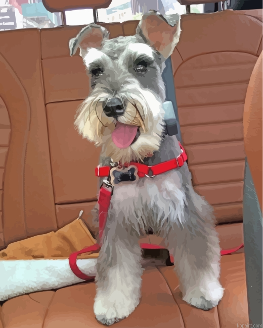 Miniature Schnauzer Painting By Numberss.png