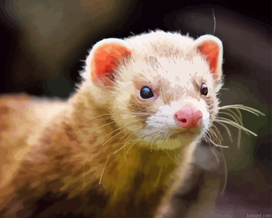 Mink Painting By Numberss.png