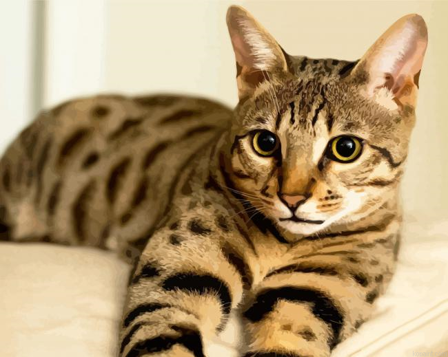 Mixed Savannah Cat Painting By Numberss.png