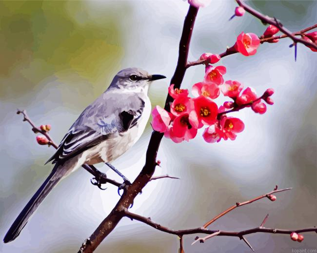 Mockingbird And Blossoms Painting By Numberss.png