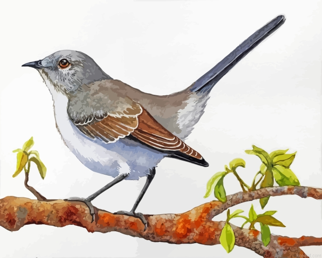 Mockingbird On Stick Painting By Numberss.png