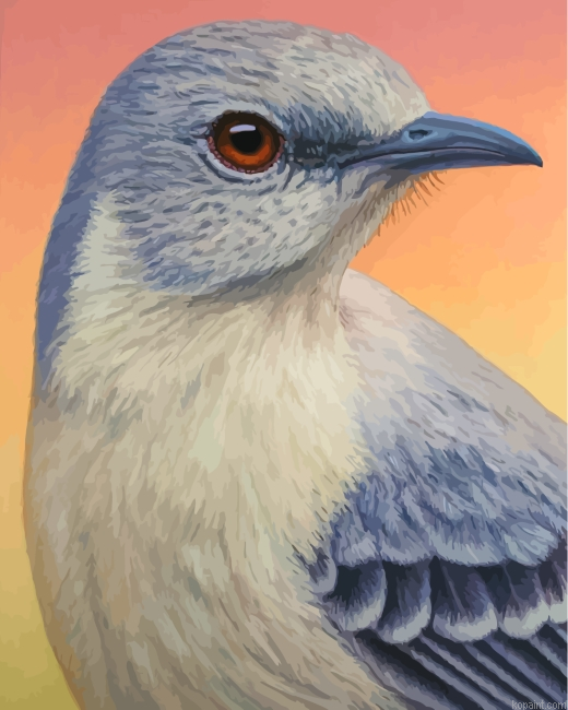 Mockingbird Painting By Numberss.png