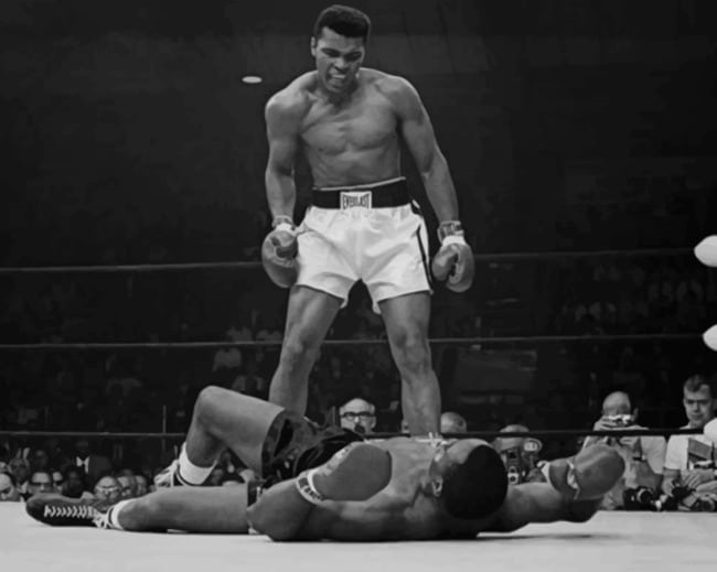 Mohammad Ali Black And White Painting By Numberss.png