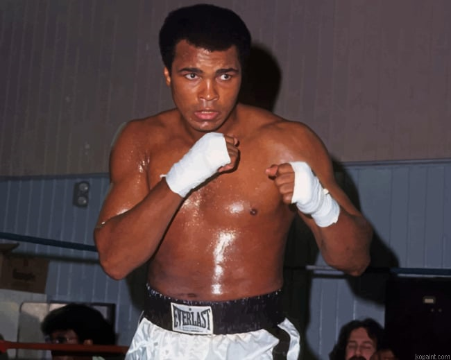 Mohammad Ali The Boxer Painting By Numberss.png